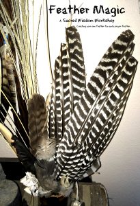 Title page for feather magic