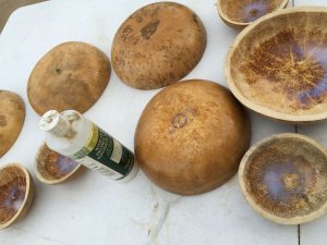 Gourds cut, cleaned and not sealed
