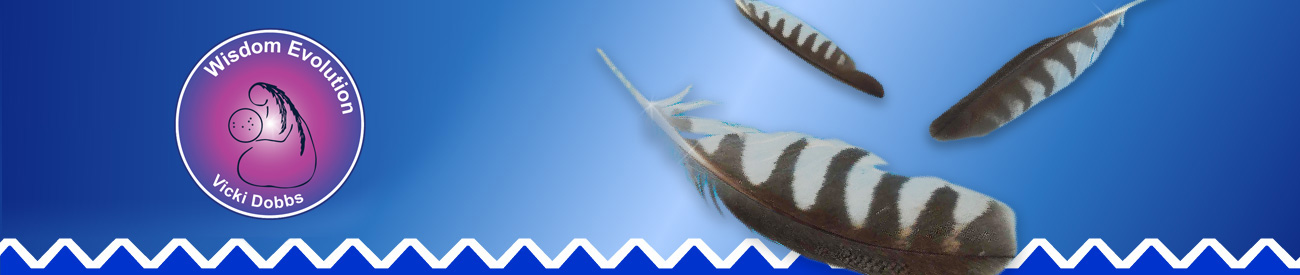 WE vicki-dobbs-Homepage-logo banner
