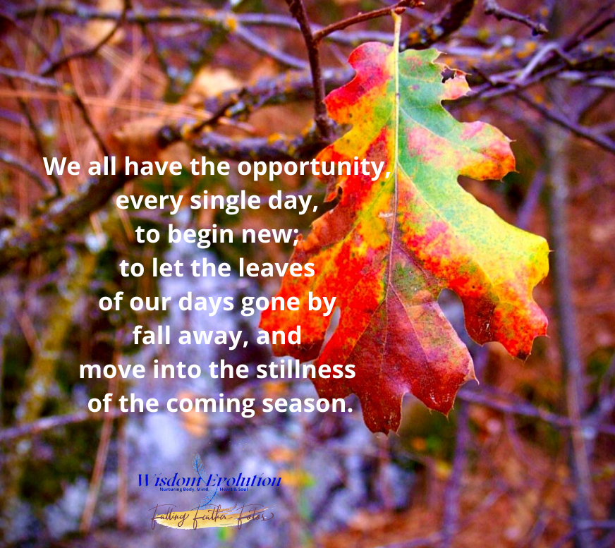 Let the leaves fall away