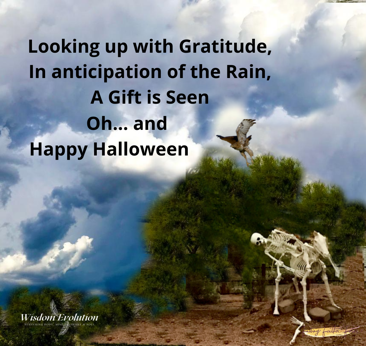 Looking up with gratitude