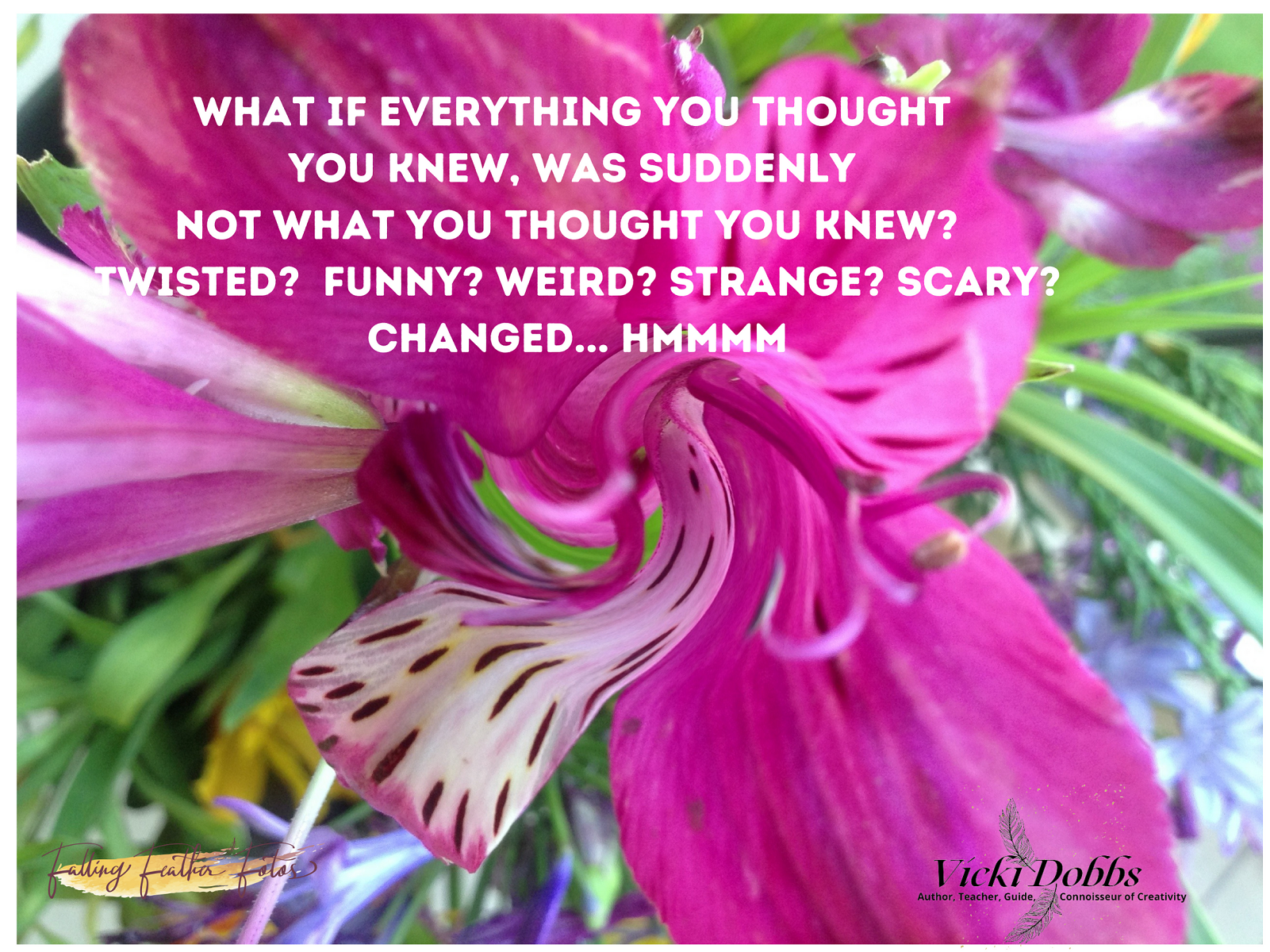 What if everything you thought you knew was not