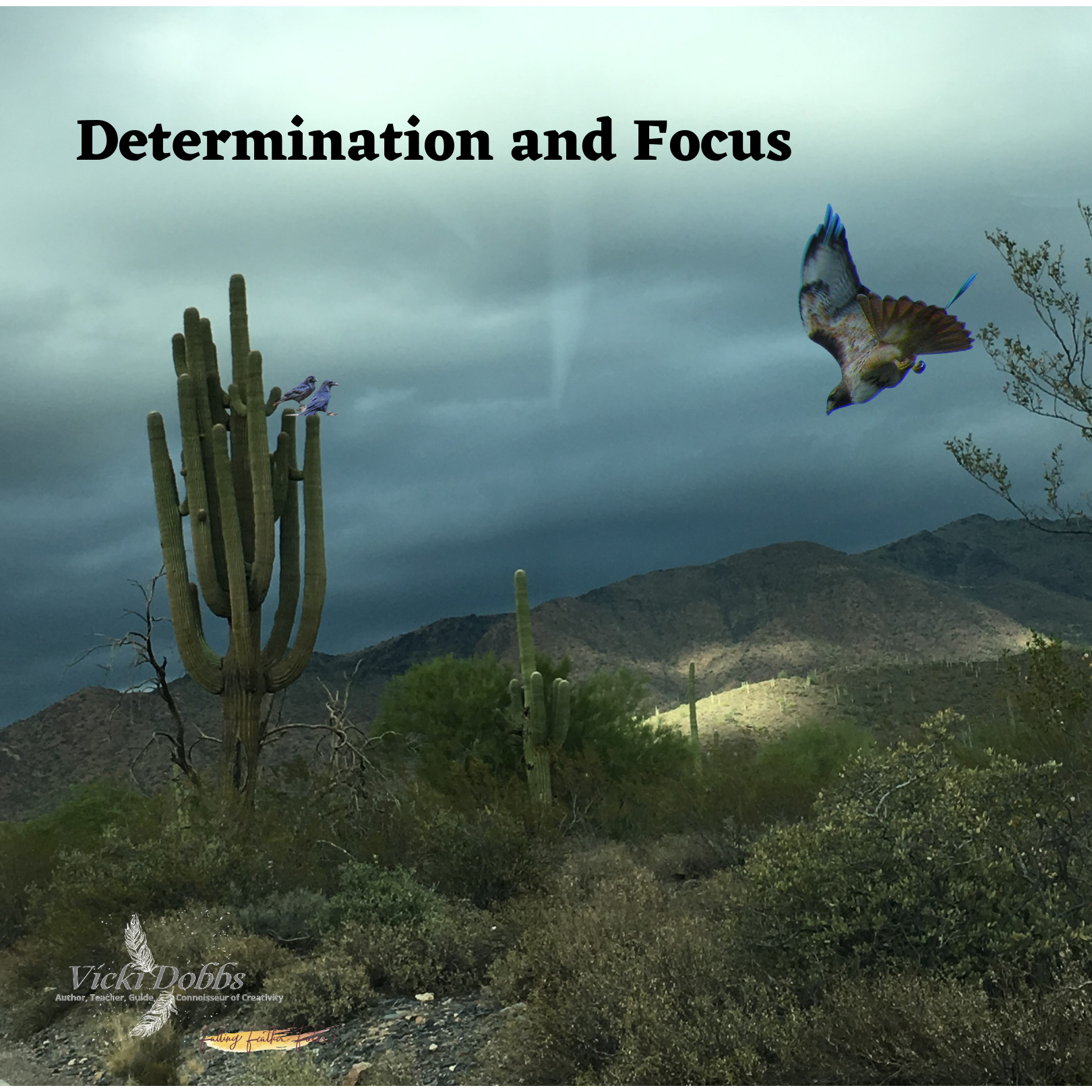 Determination and Focus