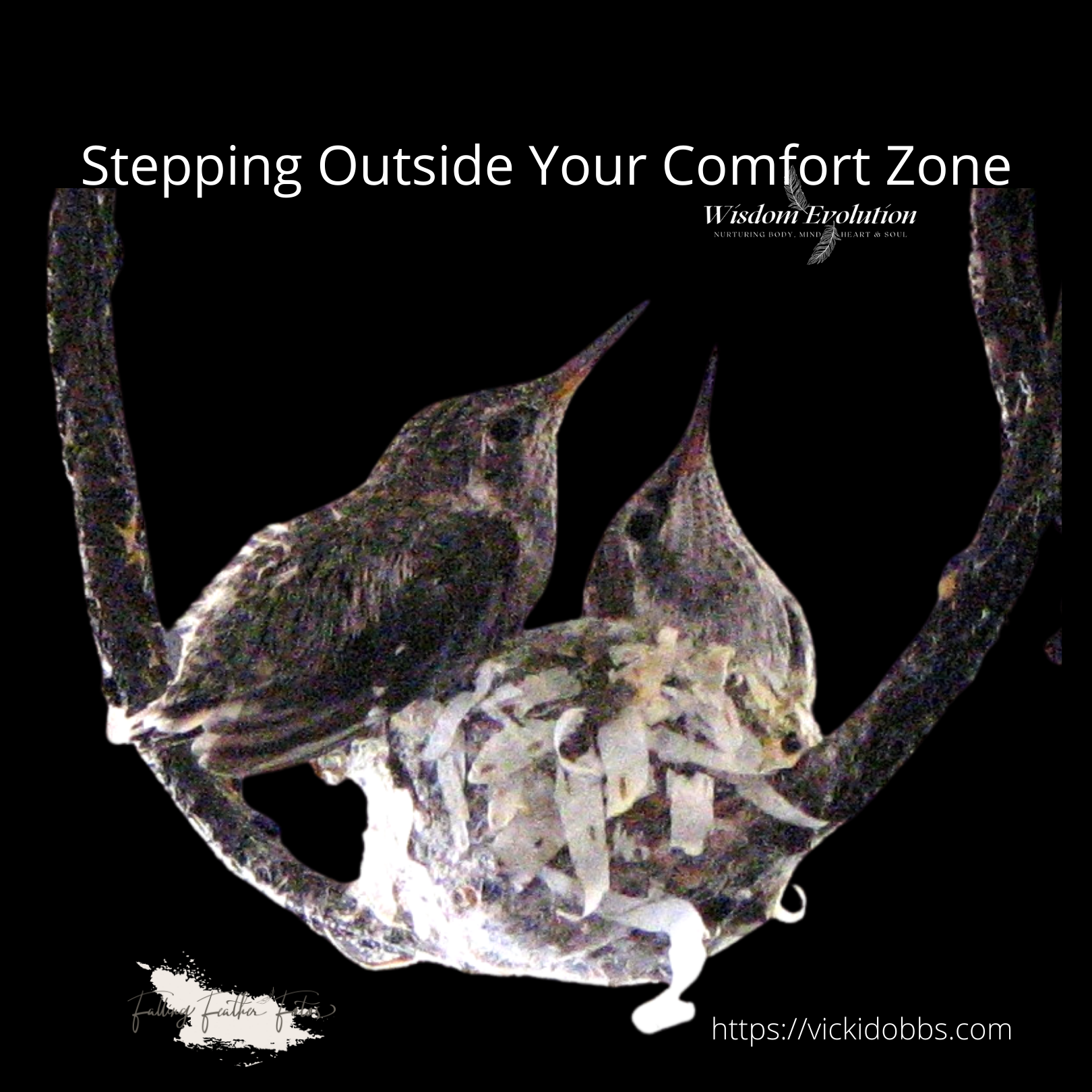 Stepping Out of My Comfort Zone