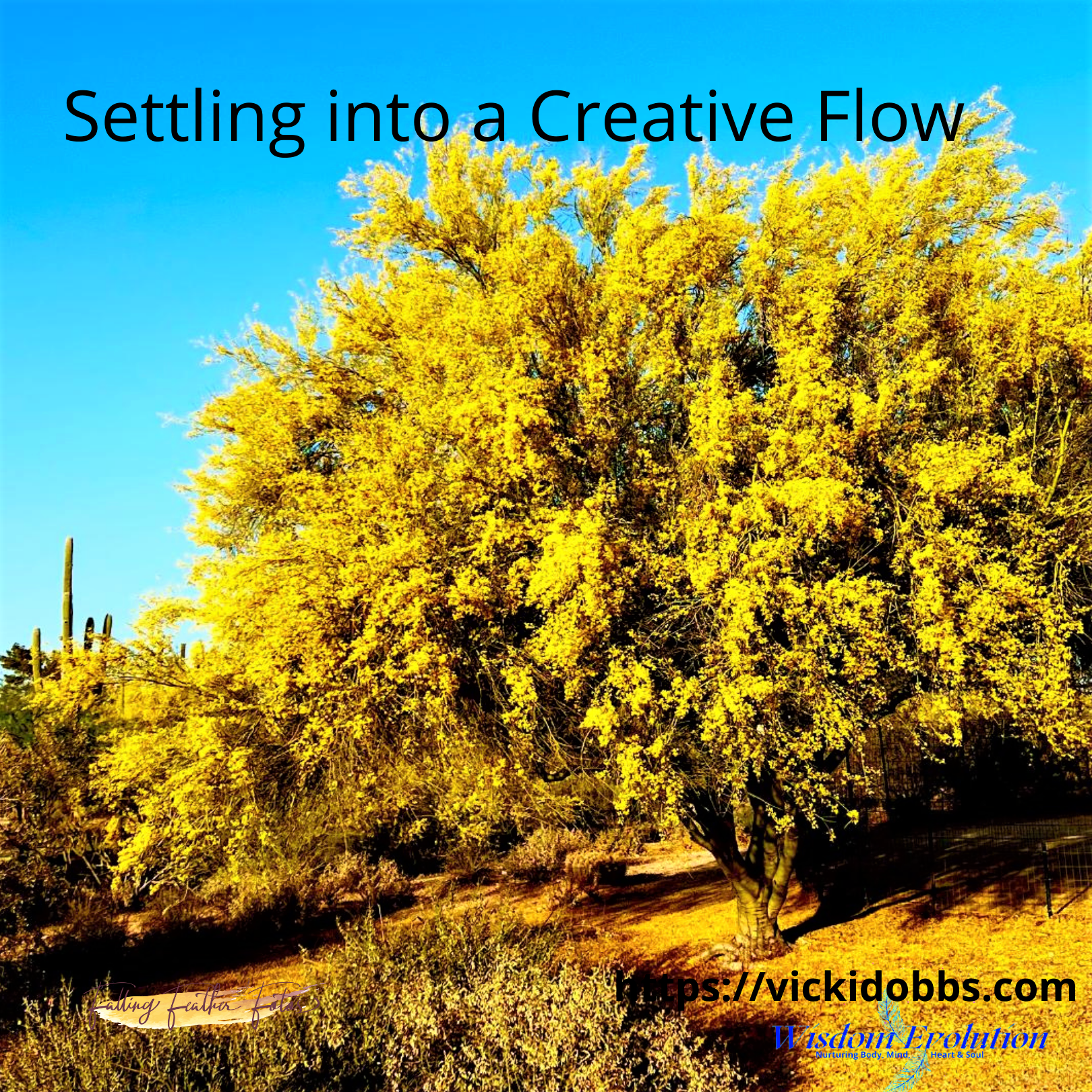 Settling into a Creative Flow