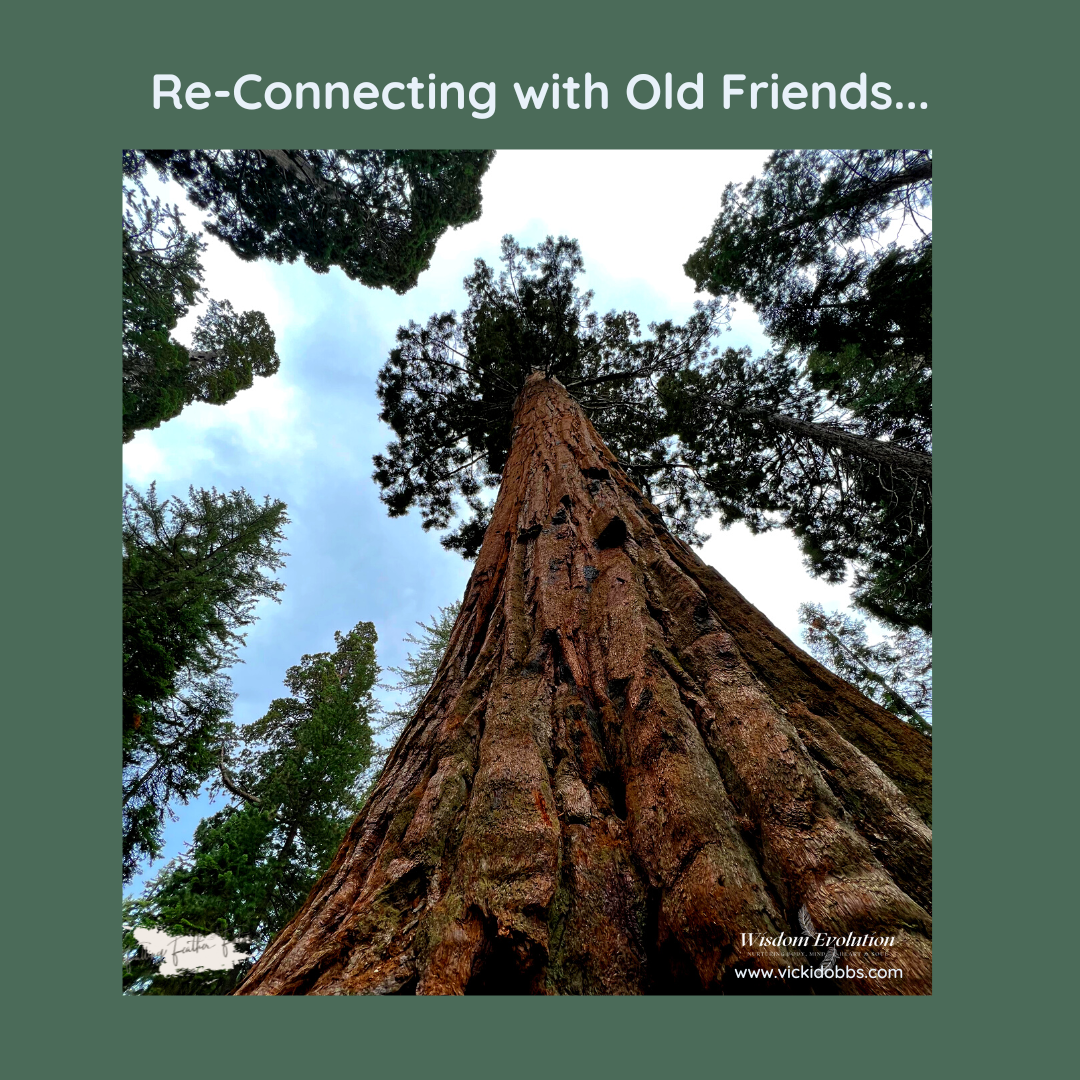 Re-Connecting with Old Friends...