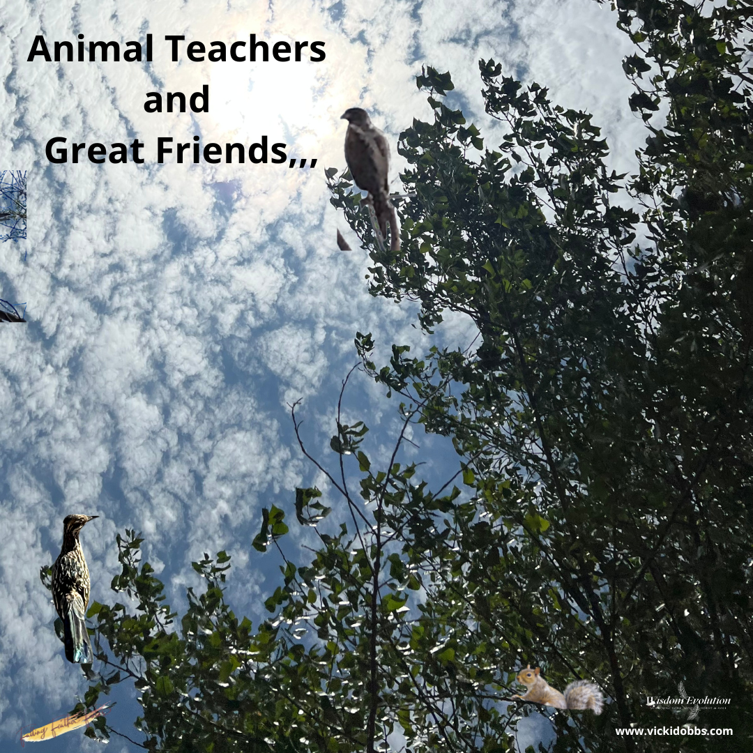 Animals Make Great Teachers… and Good Friends