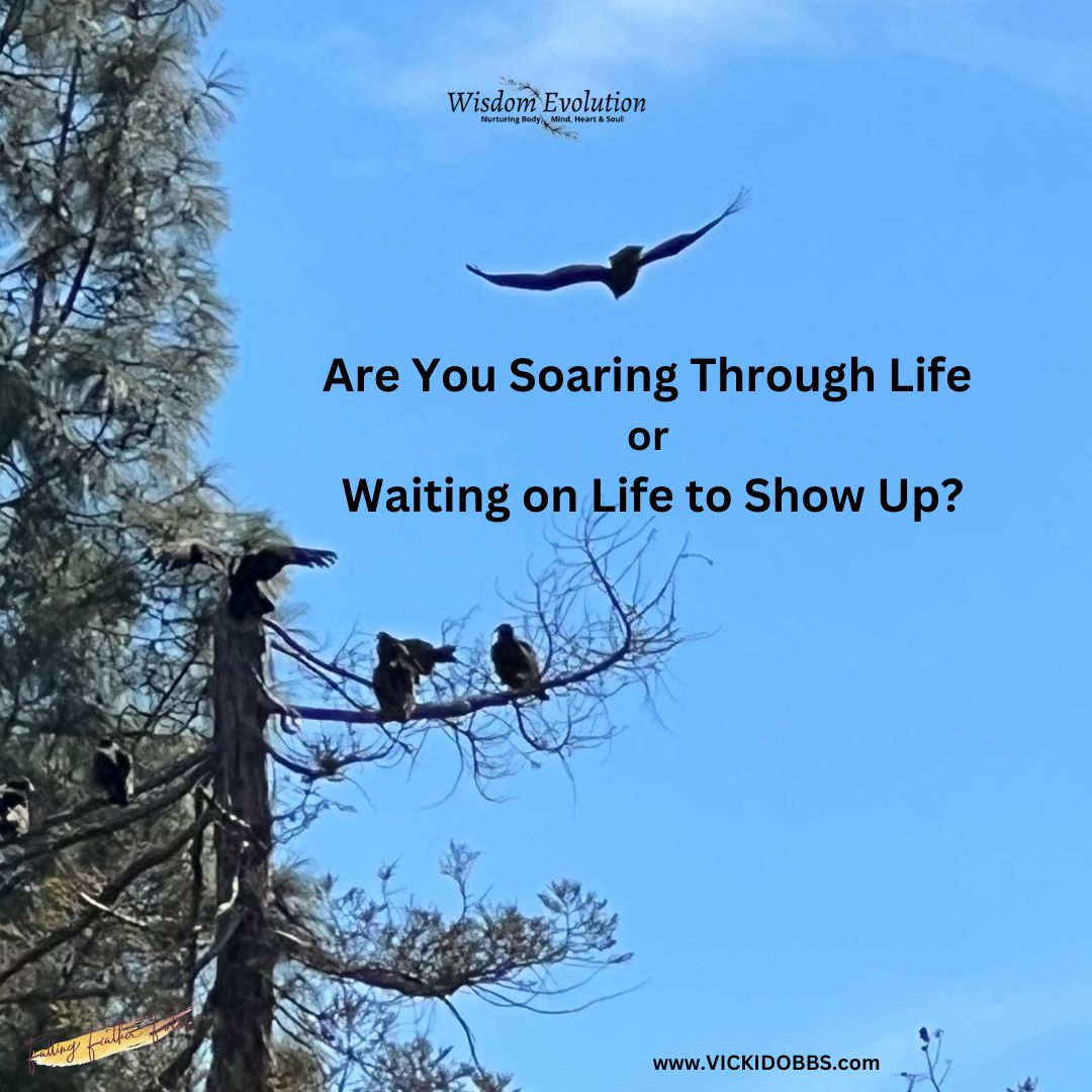 Are you soaring thru life?