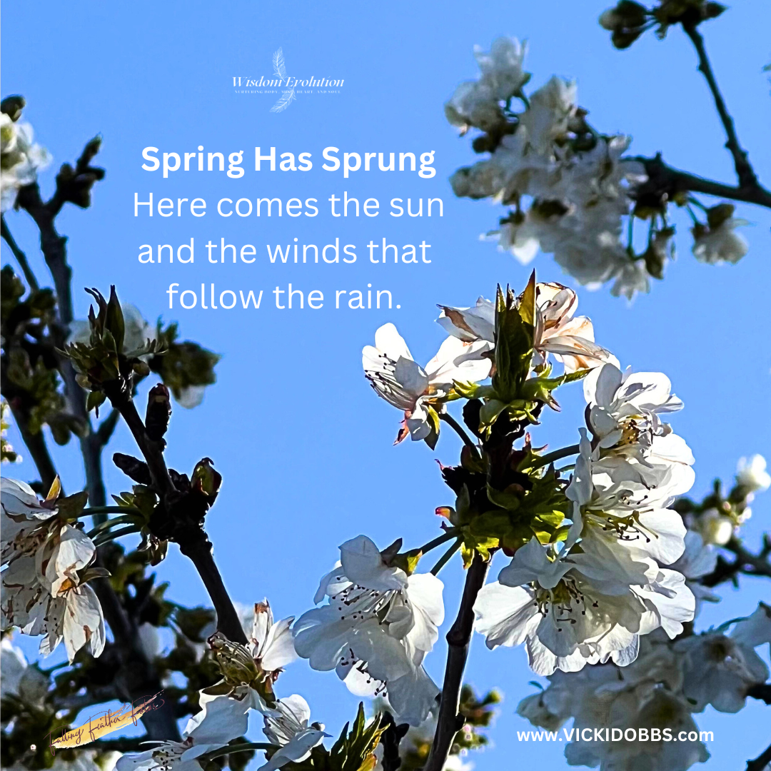 Spring has Sprung, Here comes the Sun