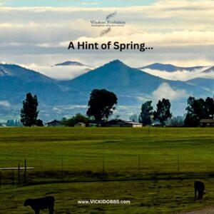 A Hint of Spring...