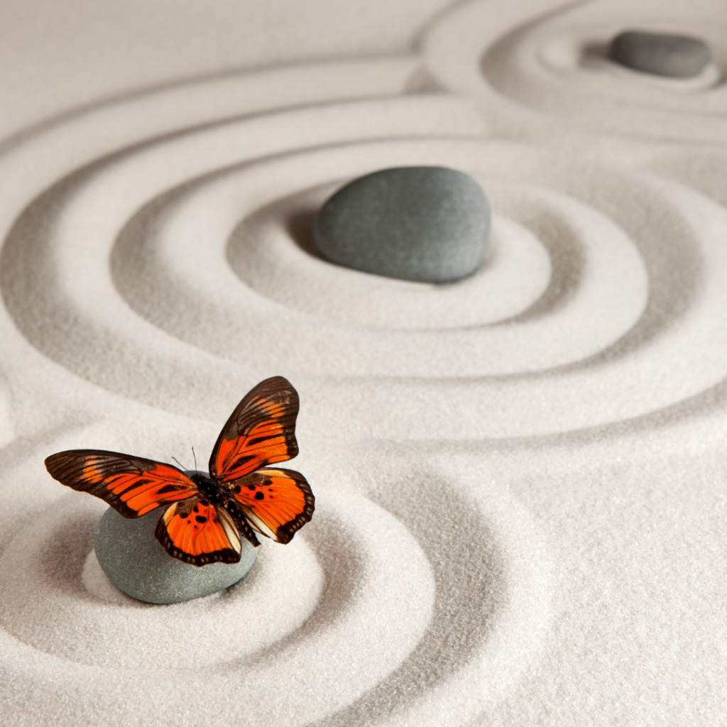 Meditation for Centering