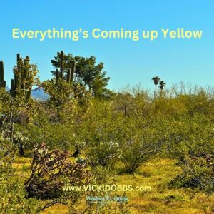Everything’s Coming up Yellow