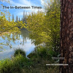 The In-Between Times