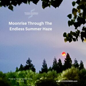 Moonrise through the Endless Summer Haze