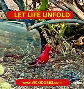 Let Life Unfold