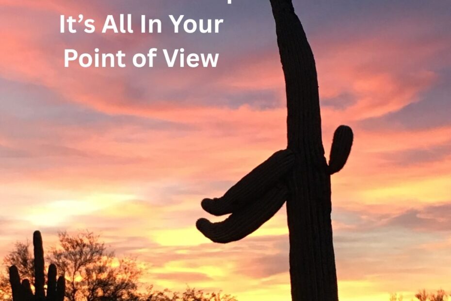 5.2.25meme the power of perspective