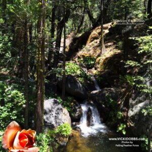 unleashed and unmapped