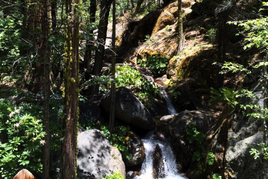 unleashed and unmapped