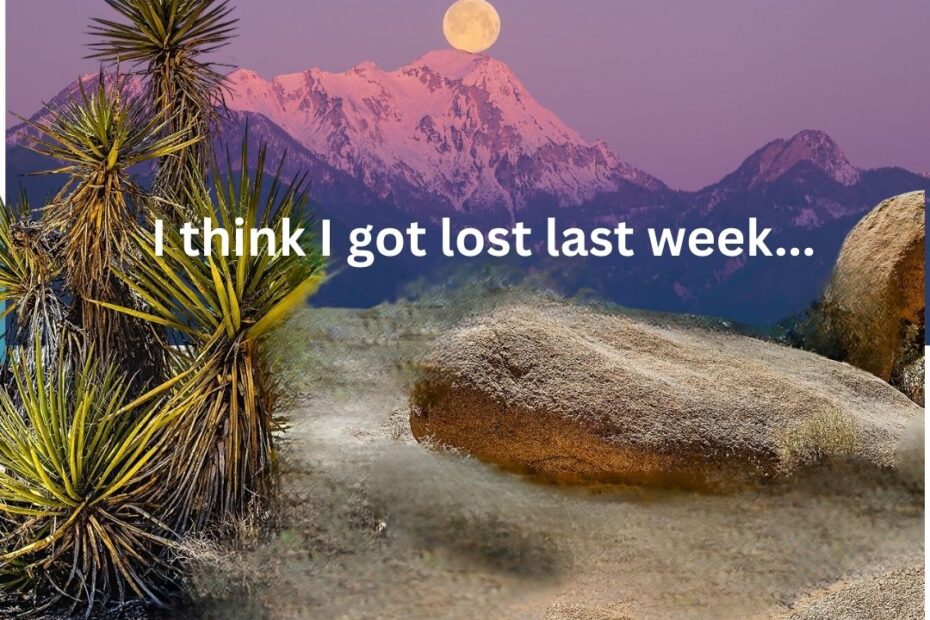 i think i got lost last week