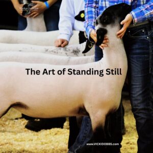 10.10.25 meme the art of standing still