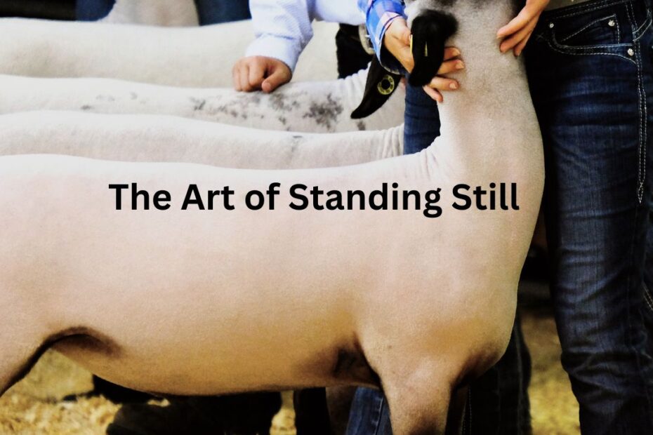 10.10.25 meme the art of standing still