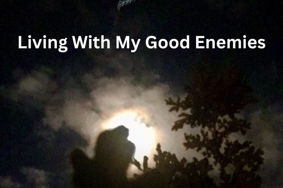 Living with my good enemies