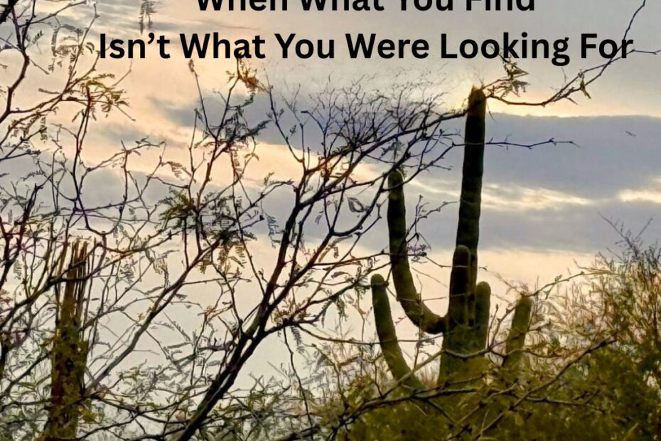 When What You Find Isn’t What You Were Looking For