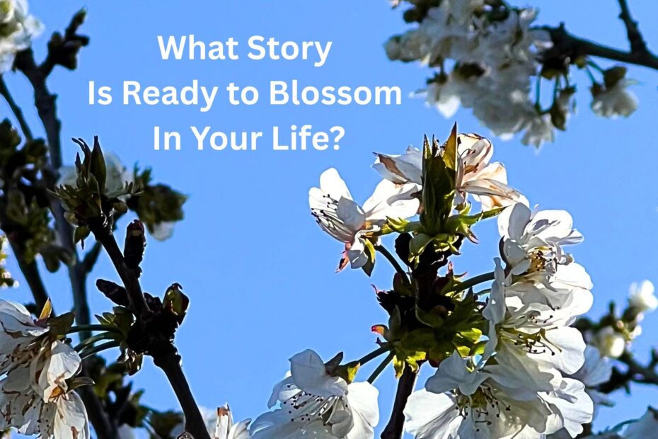 What Story Is Ready to Blossom In Your Life?