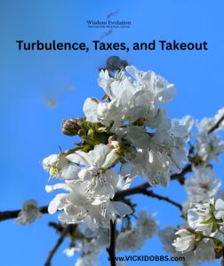 Turbulence, Taxes, and Takeout
