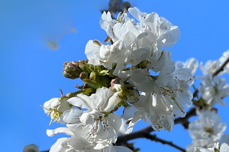 Turbulence, Taxes, and Takeout