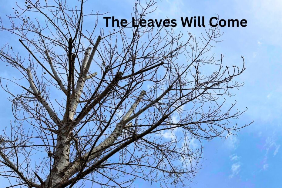 The Leaves Will Come