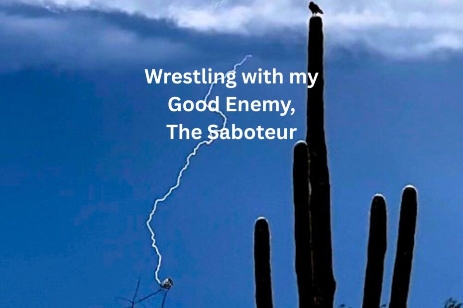 Wrestling with my Good Enemy The Saboteur