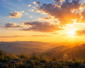 Golden Sunset Over Wildflower Mountains