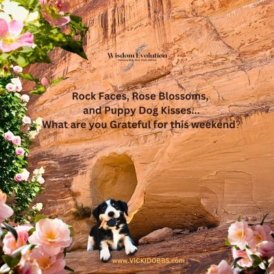 Rock faces, rose blossoms, and puppy dog kisses