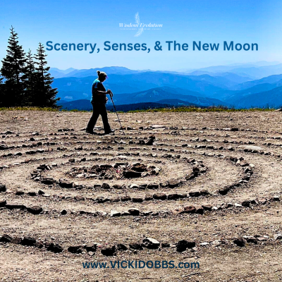 Scenery Senses and the New Moon